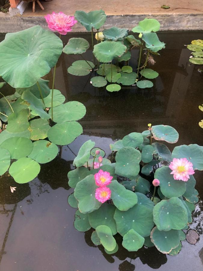 Leranda Homestay Hue Exteriér fotografie