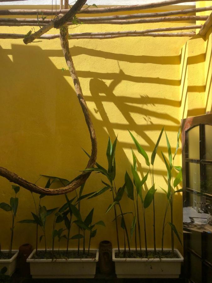 Leranda Homestay Hue Exteriér fotografie