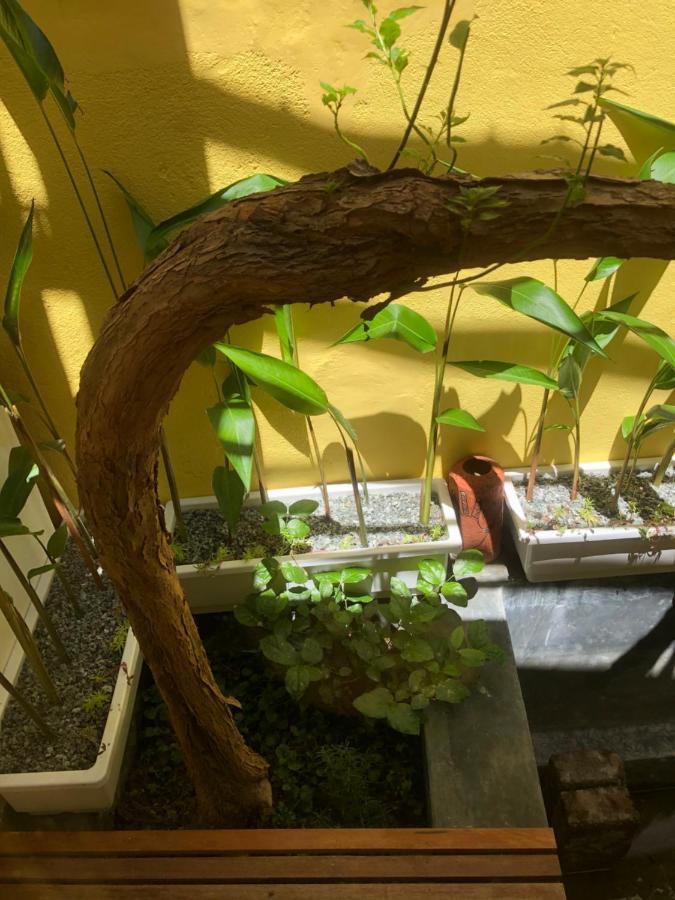 Leranda Homestay Hue Exteriér fotografie