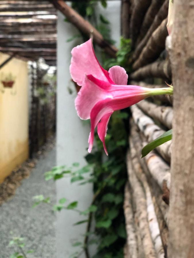 Leranda Homestay Hue Exteriér fotografie